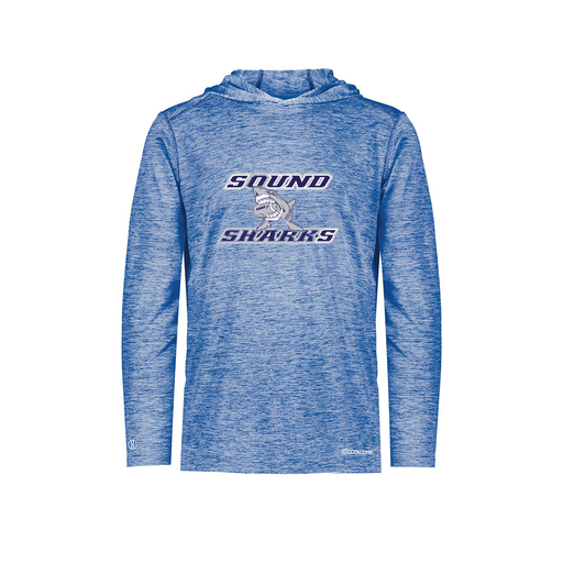 [FOLHCGRY-AS-LOGO1] Decker Men's Charge Hoodie (Adult S, Royal, Logo 1)